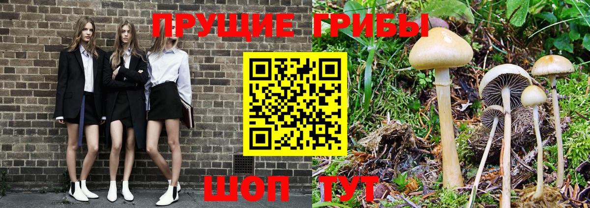 Рузаевка  Псилоцибиновые грибы прущие грибы  Вход с VPN  Галлюциногенные грибы Magic Shrooms 